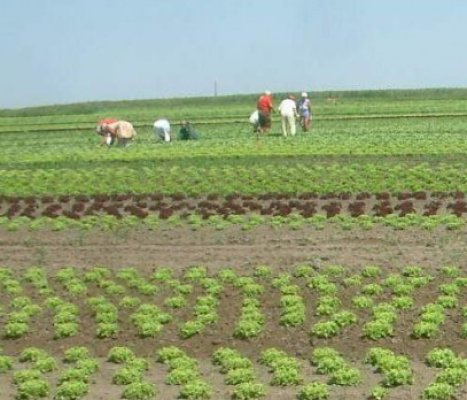 Traian Băsescu: Agricultura este prioritatea zero a României